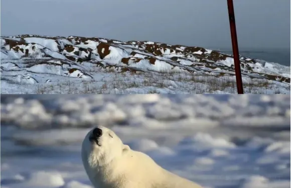 Tundra Inn Dining Room & Pub