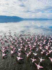 Lago Natron