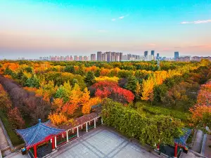 Sui and Tang Dynasty Town Botanic Gardens