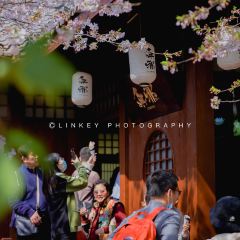 無邪張用戶圖片