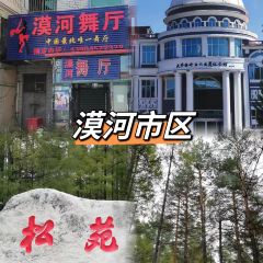 CHUN XUE DA GU MIAN User Photo