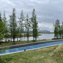 Indeed Cafe 硬地 User Photo