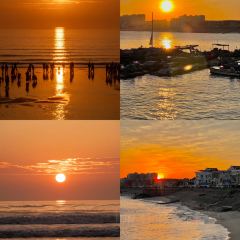 岛语plus User Photo