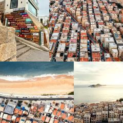 岛语plus User Photo