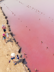 헛 라군 분홍 호수