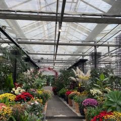 Manor Blanc User Photo