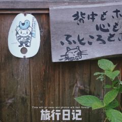 Kawakamiya 여행 사진