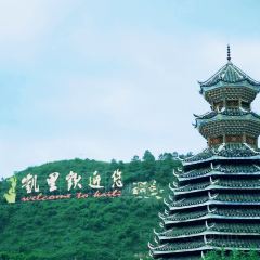 一木草堂咖啡馆 User Photo