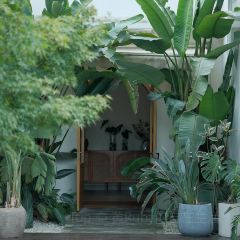 白麓半岛·泰餐厅(麓湖美食岛店) User Photo