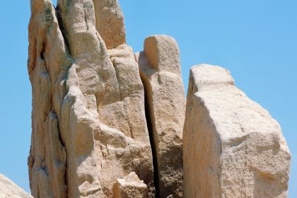 花鸟海房子餐厅