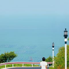 花鸟海房子餐厅 User Photo