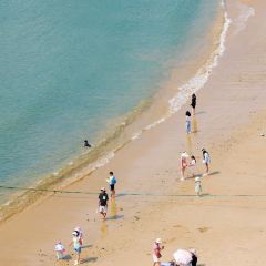 花鸟海房子餐厅 User Photo