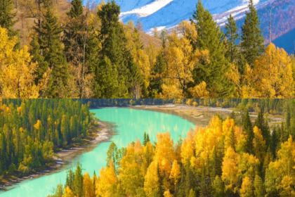 Burqin Riverbank Night Market