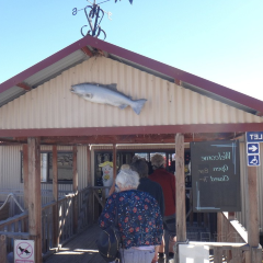 The Musterers Hut Cafe User Photo