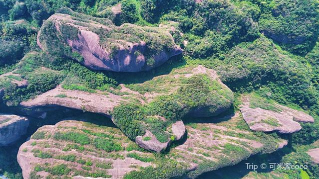 Dragon's Backbone Heavenly Ladder