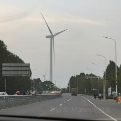 好得来蟹庄·阳澄湖农家菜·蟹全友(莲花岛店) User Photo