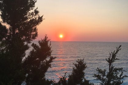 Seaside Restaurant & Apartments