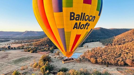 Balloon Aloft Camden Valley Hot Air Balloon Flights