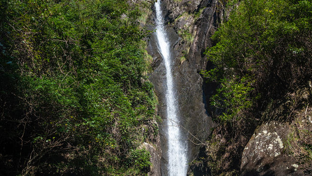 shen xian ju gua bang yun ti fei la da