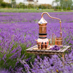 Port Arthur Lavender User Photo
