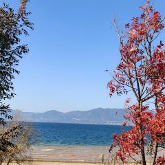 抚仙湖·自在汐岸咖啡餐吧 User Photo