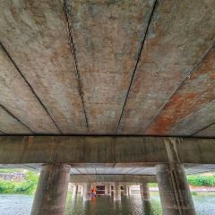 龙湖印象 User Photo