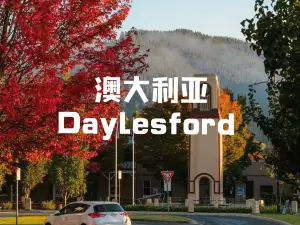 ラバンデュラ・スイス・イタリアン・ファーム