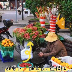 南诏朱记一根面 User Photo