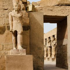 Abou el-Sid User Photo