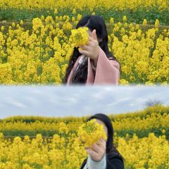 XIAO FANG ZHUO FAN DIAN User Photo
