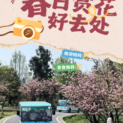 烙鍋小院張用戶圖片