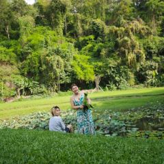 Valley Coffee Lanna Resort User Photo