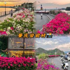 鼎湖山酒家 User Photo