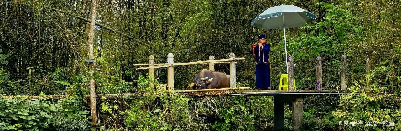 大新明仕稻香客栈