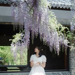 Wisteria Cafe User Photo