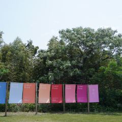 良壤有机庄园 User Photo