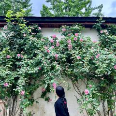 花園主義（九里拾院店）張用戶圖片