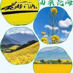 青海土火锅(建设西路店) User Photo