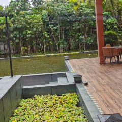 吴川鼎龙湾福朋喜来登酒店宜客乐餐厅 User Photo