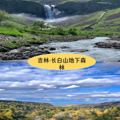 廣西崇左祕境麗世度假村·良食餐廳張用戶圖片