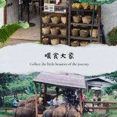 Elefin Farm & Cafe เอเลฟิน ฟาร์ม แอนด์ คาเฟ่ User Photo