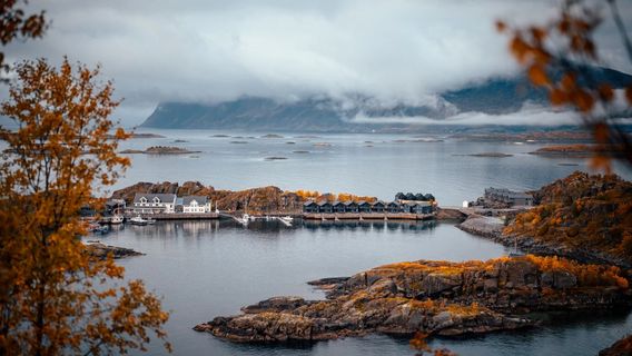 Senja