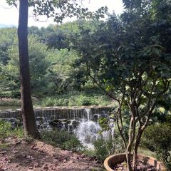 維一億江南（長興店）張用戶圖片