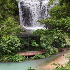 云起草堂(白云山森林公园店) User Photo