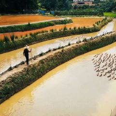 SA MA BA 여행 사진