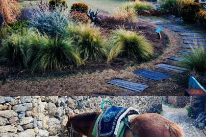 Naxi special casserole