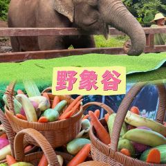 傣族人家(世纪路店) User Photo