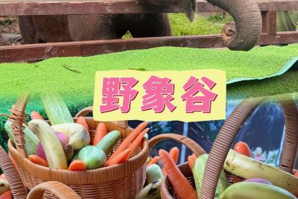 傣族人家(世纪路店)