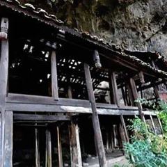 盘州·东湖里·假日酒店(东湖公园银杏广场店)·四季三食 User Photo