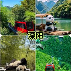 咱妈家·海菜包子(长峰店) User Photo